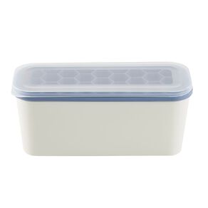 Living & Co IceTray with Container Blue